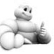 MichelinEndurance