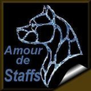 amour de staffs