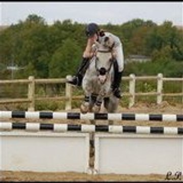 Anaiis5201