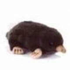 lemiope