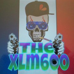 TheXlm600