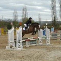 dickie91