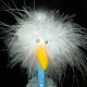 Crazy Bird