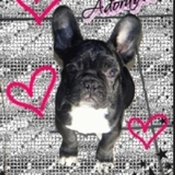 calylou
