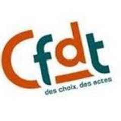 cfdt2008
