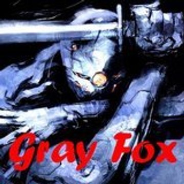 GrayFox95