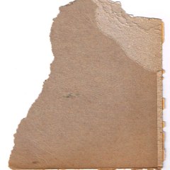 tanyurd