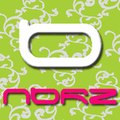 NORZ Web Marketing