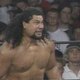 Meng's Mullet