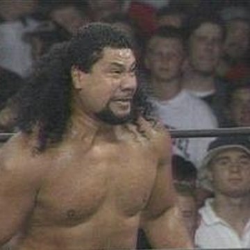Meng's Mullet