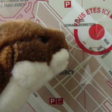 Super Loutre