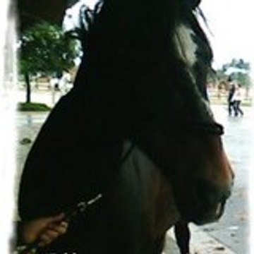 Jow-horse