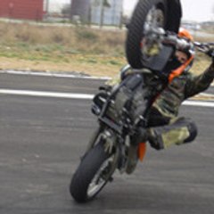 lolle66