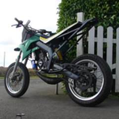 rodo29