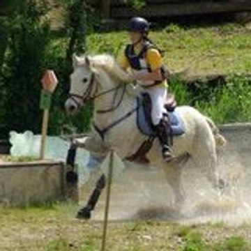 filou