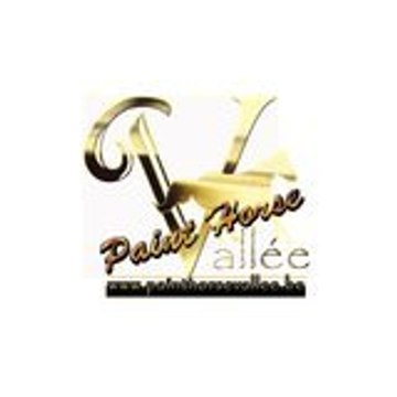 painthorsevallee