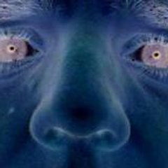 mr_fieldhouse