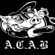 ACAB67-100TOR