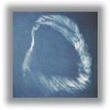 Mensaje de DIOS por el profeta William Marrion Bra