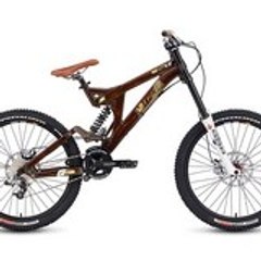 The Swiss Rider