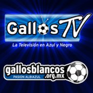 gallosblancosorgmx