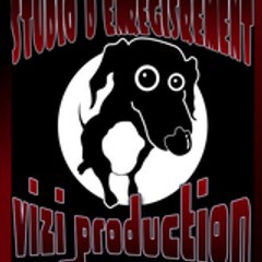 VVIIZZII
