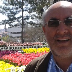 Ali YILMAZ