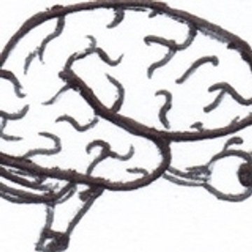 CERF-TOURNIER