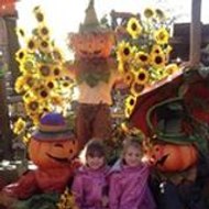 Marylin Soliveau-bailly