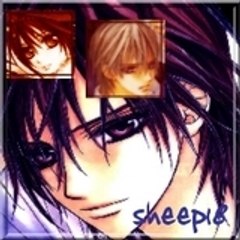 sheep18