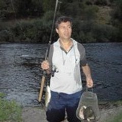 Bülent Yurteri