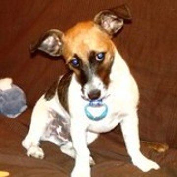 CHARLENE