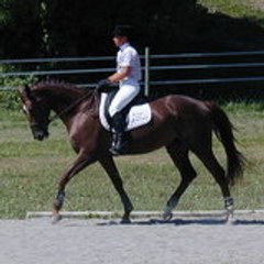 Elevage du GUILLET