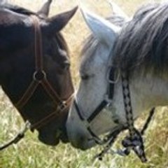 myrtille2004