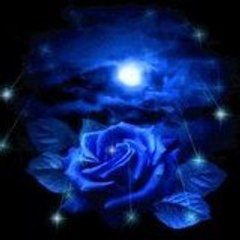 Rosebleue54