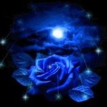 Rosebleue54
