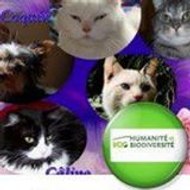 Dominique HEINE-GUILLEN