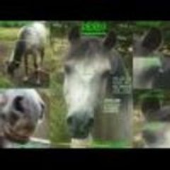 deseo-je-taime-foorrt