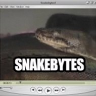 SnakeBytesTV