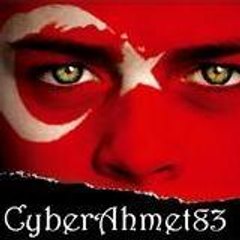 Ülkücü Militan