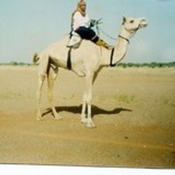 Ibrahim