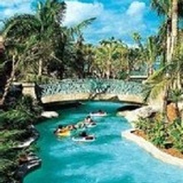 yourlifechangingsuccess