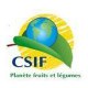 CSIFL