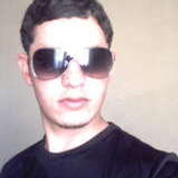 david