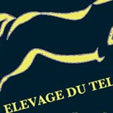 elevagedutel