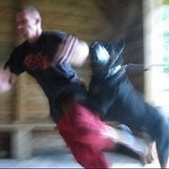mambo50kg