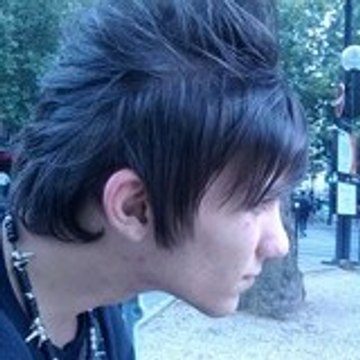 ziphone