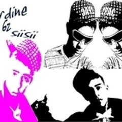 62nordine