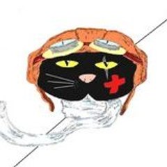 FlyingBlackcat