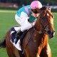 la-futur-jockeytte